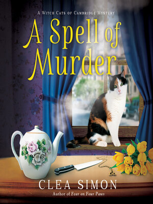 cover image of A Spell of Murder
